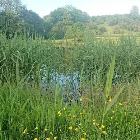 Luxury Retreat By Asbolholm - By Traum